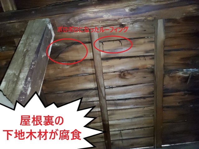 屋根裏　下地木材　腐食